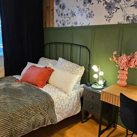 Apartmán Stilvolles Design In Gohlis Mit Wlan,netflix, Waschmaschine Lipsko